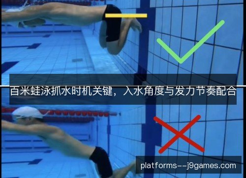 百米蛙泳抓水时机关键，入水角度与发力节奏配合